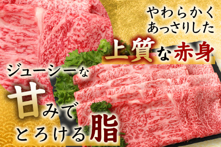 佐賀牛 モモライス 500g 佐賀県産 すきやき すき焼き しゃぶしゃぶ もも C-104