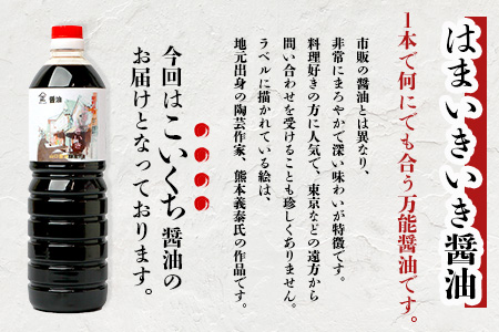 山口醤油醸造所 こだわりの こいくち醤油 1L×6本  B-617 こいくち醤油 1L×6本