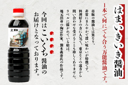【山口醤油醸造所】 こだわりの こいくち醤油 【500ml×6本】 B-622 こいくち醤油 【500ml×6本】