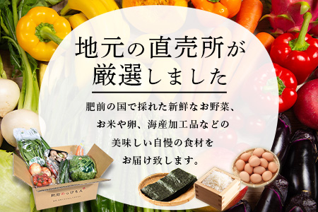 E-61  【３ヶ月お届け】肥前の国の農産物大満足定期便 【 野菜 卵 米 果物 新鮮 セット 詰め合わせ 定期便 産地直送 肥前 】