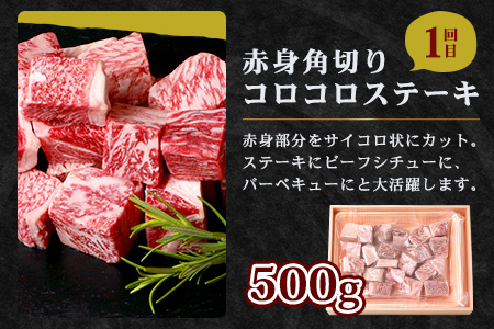 【定期便3回】佐賀牛 食べ比べ お試し定期便 サイコロステーキ サーロインステーキ ローストビーフ F-57