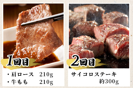 【初回は1月スタート】【定期便6回】佐賀牛 食べ比べ 定期便 6ヶ月 6ヵ月 焼肉 焼き肉 すきやき すき焼き しゃぶしゃぶ サイコロステーキ ステーキ L-39