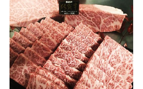 D-61  最高級ブランド牛『佐賀牛』　カルビ焼肉用　６００ｇ