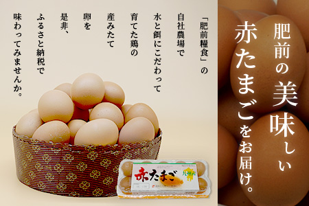 【鹿島市産のたまご】肥前のおいしい赤たまご　６０個（５５個＋破損補償５個入り）　B-711