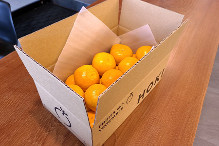 予約受付 AA-38 【目利きのプロが厳選】佐賀県産みかん 約2kg（サイズ別）