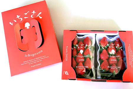 【先行予約】いちご 新ブランド 【いちごさん】 キューブ 240ｇ×2パック 《2025年1月上旬～3月発送》A-135