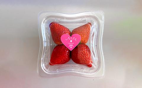 【先行予約】いちご 新ブランド 【いちごさん】 てのひらギフトセット 75g×8パック 計600g 1パック4～5玉入 【2025年1月上旬～3月発送】 JA直送 鮮度抜群 佐賀県 鹿島市 A-153
