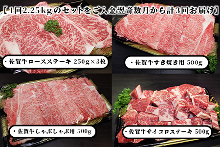 【初回は1月スタート】V-10 佐賀牛４点セット 【全３回定期便お届け】総計6.75kg