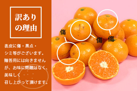 【訳あり】【先行予約】高評価4.5以上！やーらしか鹿島産みかん 6.5kg｜【数量限定】小粒サイズ ご家庭用｜一口で食べられる濃縮旨み｜お子様にも｜生産者直送 国産 佐賀県産 ミカン 蜜柑 果物 フルーツ 送料無料 人気【AA-6】