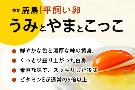 【定期便 6回】平飼い卵「うみとやまとこっこ」上田養鶏場 たまご40個 × 6ヶ月【合計240個】佐賀県鹿島産 卵 タマゴ H-28 40個 × 6ヶ月【合計240個】