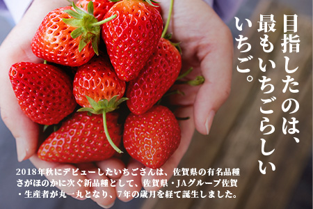 いちごさん　ゆりかーごギフト B-728