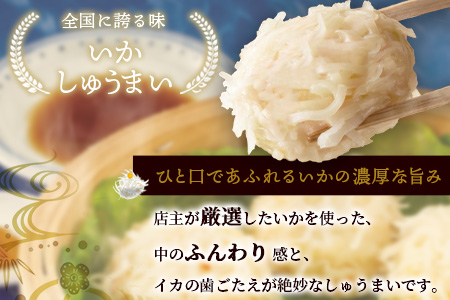 逸品｜いかしゅうまい10個入×2P｜贅沢ないかの旨みたっぷり！｜本格シュウマイ｜冷凍配送・簡単調理｜佐賀県鹿島市｜送料無料　A-195