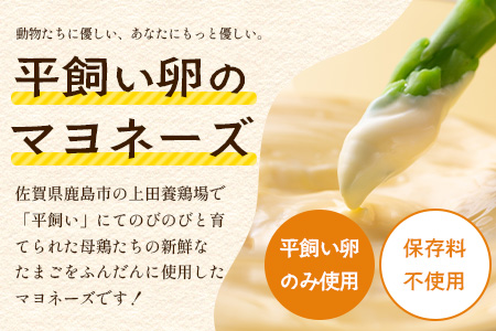 ＼濃厚卵のマヨネーズ／瓶詰め マヨネーズ 2本セット | 上田養鶏場のこっこの陽なたマヨ 170g | マヨネーズ マヨ 調味料 たまご 平飼い お料理 安心 安全 玉子 サラダ ディップ ポテトサラダ ドレッシング 送料無料　A-204