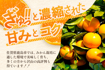 温州みかん 小玉(SS,3S)5kg　A-205