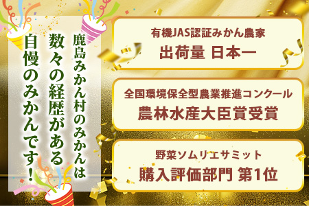みかんを使ったドライフルーツ (ひと房) 100g　｜佐賀県 鹿島市 みかんドライフルーツ みかん ドライフルーツ 無添加 有機 国産 ドライみかん 無添加 おやつ 砂糖不使用 オーガニック 体にやさしい お菓子 子供 安心 妊婦 美容 高齢者｜　A-206