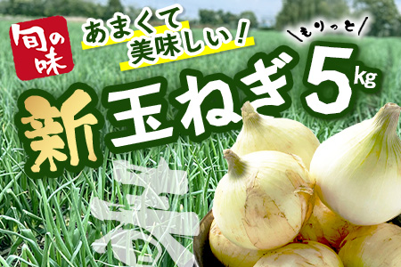 【予約受付】鹿島市産 新玉ねぎ 合計5kg A-207 たまねぎ 玉葱 サラダ 料理【2026年4月中旬より順次発送】