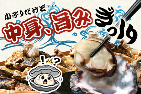 AA-12 有明海産 養殖牡蠣 1kg 冬季限定｜殻付き生牡蠣｜加熱調理用｜新鮮 佐賀県産 カキ【レンジで簡単調理】お正月 夕食 おつまみ おかず 佐賀県 鹿島市