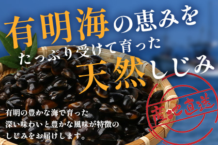 AA-18 冷凍シジミ１kg（500g×2袋）