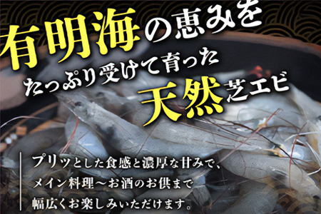 AA-19 冷凍芝エビ500g・冷凍シジミ500g