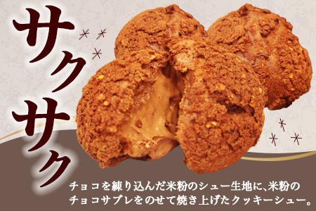 AA-26　お米のチョコシュークリーム　５個入り【バレンタイン・ホワイトデー対応可】