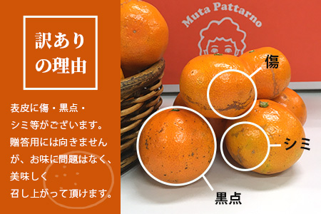【先行予約】（2026年11月上旬～発送）”わーがと”鹿島産がばい訳アリみかん 約6kg【サイズ別】【期日指定不可】国産 佐賀県産 ミカン 蜜柑 果物 フルーツ AA-39