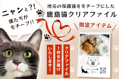 鹿島猫クリアファイル｜保護猫カフェねこの蔵 クリアファイル 保護猫 猫 古民家カフェ 支援 鹿島市 猫カフェ カフェ プレゼント　AA-63