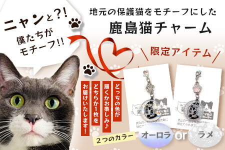 鹿島猫チャーム｜保護猫カフェねこの蔵 チャーム 保護猫 猫 古民家カフェ 支援 鹿島市 猫カフェ カフェ プレゼント　AA-64
