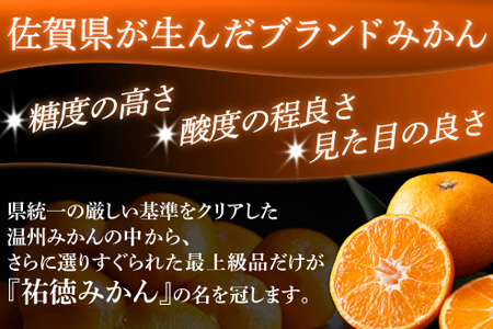 B-100 【数量限定】みかん 約3kg 化粧箱入り 祐徳みかん | ふるさと納税 温州みかん フルーツ 果物 ギフト 贈答 ミカン 蜜柑 柑橘 くだもの 果実 国産 佐賀県 鹿島市 ふるさと 人気 送料無料 【10月下旬～12月頃発送予定】