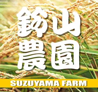 鈴山農園こだわりのお米2種セット（5kg×2種）さがびより・夢しずくB-136 佐賀県 鹿島市 精米 白米 お米 ブランド米