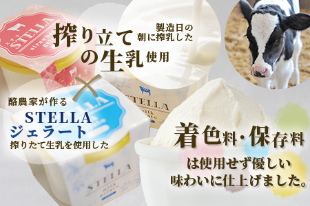 B-30 牧場直送！食べ比べ|しぼりたて生乳|極上ジェラートSTELLA8個|120g×8個|ミルク 抹茶 いちご きなこ4種×2個| 厳選素材 アイス プレゼント 贈り物 お中元 お歳暮 ご自宅用 美味しい贅沢 絶品 上質 佐賀県 鹿島市 冷凍 送料無料