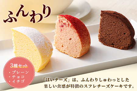 ふわふわのドーム型ケーキ「はいチーズ」3種セット【チーズケーキ お祝い パーティ 年始 年賀 大晦日 年末 贈り物 プレゼント贈答 スフレ チョコケーキ イチゴ】　【バレンタイン・ホワイトデー対応可】