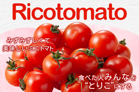 【先行予約】 たにぐちファーム 完熟ミニトマト 約1kg 『Ricotomato とりこになるトマト』 B-324
