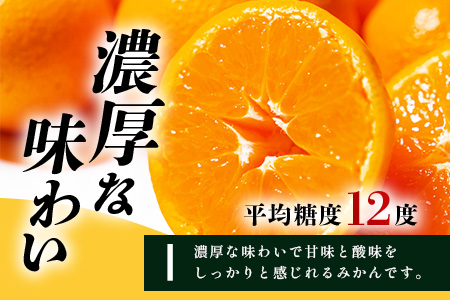 B-345《まぼろしのみかん》鹿島 平倉果樹園のみかん『今村』 約5.5kg サイズ混合 みかん 希少 幻 まぼろし 蜜柑 ミカン オレンジ フルーツ 果物 高糖系 平均糖度12度 佐賀県 鹿島市 人気 おすすめ 送料無料【2026年2月上旬から2月末まで配送】