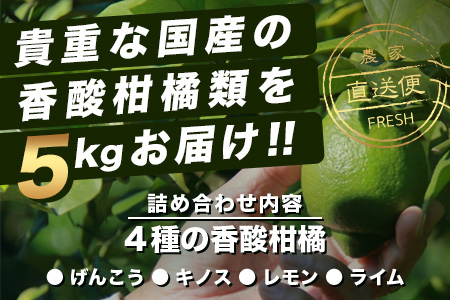 B-366 香酸柑橘類セット （リスボンレモン・キノス・げんこう・ライム）【約5kg 】メディアも注目の柑橘類の名人直送！かんきつ 柑橘 檸檬 れもん レモン 木酢 げんこう 薬味風味付け 国産 九州産 鹿島市産 佐賀県 鹿島市
