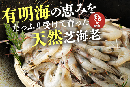 B-421 《受付再開》冷凍えびセット(芝えび1kg・むき甘えび20尾×2）