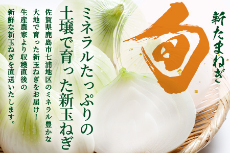  甘～い！新鮮！新たまねぎ 約10kg (MLサイズ）★大自然育ち【2025年4月より発送】生産者直送！タマネギ 玉葱 新タマ 新玉ねぎ サラダ 惣菜 お料理 ストック 箱買 美味しい 甘い 常備野菜 佐賀県 鹿島市産 人気 送料無料　B-737