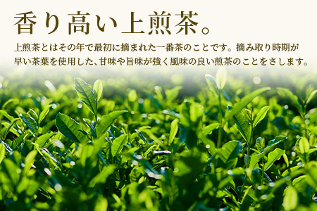 【徳用】佐賀県産 うれしの茶 350g×2袋（合計700g） リーフ 茶葉 [お茶 茶 うれしの茶 茶葉 葉 リーフ 徳用 おすすめ 送料無料] B-799