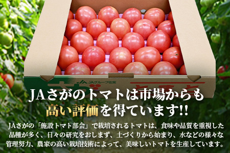 佐賀県農業協同組合 施設トマト部会 佐賀県産トマト約4kg【3月上旬～5月下旬随時出荷予定】 JAトマト [野菜 トマト 新鮮 サラダ 生野菜 とまと栄養 おすすめ 送料無料]B-805