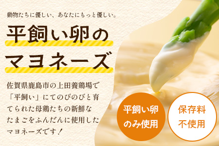 ＼濃厚卵のマヨネーズ／瓶詰め マヨネーズ 3本セット | 上田養鶏場のこっこの陽なたマヨ 170g | マヨネーズ マヨ 調味料 たまご 平飼い お料理 安心 安全 玉子 サラダ ディップ ポテトサラダ ドレッシング 送料無料　B-812