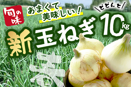 【予約受付】鹿島市産 新玉ねぎ 合計10kg B-842 たまねぎ 玉葱 サラダ 料理【2026年4月中旬より順次発送】