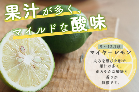 国産 オーガニックレモン 約2.5kg レモン 檸檬 B-91