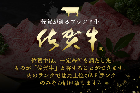 【最速！1週間以内発送！】佐賀牛 最上級Ａ５ランク カルビ焼き肉用400ｇ 牛肉 国産 佐賀県産 鹿島市 カルビ カルビ焼き肉用 BBQ ご褒美 最速 送料無料 年内発送の受付【12月25日迄】年明け発送【2026年1月8日より順次開始】C-121
