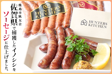 佐賀県鹿島市産の猪ソーセージ（約8cm×6本入）5袋 C-126 ピリ辛 ハーブ 2種類 ソーセージセット ジビエ イノシシ 猪肉