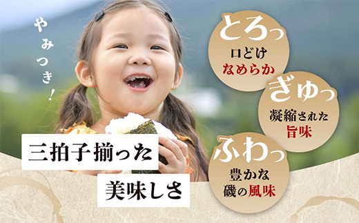 【初摘み海苔100%】佐賀のり 初摘み海苔 塩のり 8切 6枚入×40袋 【合計240枚】C-135