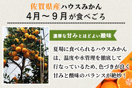 C-28 高級 JA ハウスみかん（2.2kg）【化粧箱入】【2025年8月上旬頃まで発送予定】夏にしか味わえない期間限定の美味しいハウスみかん★ 蜜柑 ミカン 果物 フルーツ くだもの  甘い 絶品 安全安心 新鮮 人気 大好評 おすすめ   佐賀県 鹿島市 送料無料