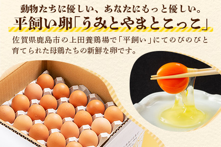 【定期便】たまご 佐賀鹿島産 平飼い初卵「うみとやまとこっこ」 上田養鶏場 たまご60個×3回 タマゴ 玉子D-117 60個×3回