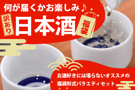 ＼訳あり×お楽しみ福袋！／ 熟成日本酒バラエティセット｜純米大吟醸・純米吟醸など数種類からお届け 清酒 飲み比べセット 佐賀県鹿島市 緊急応援 D-181