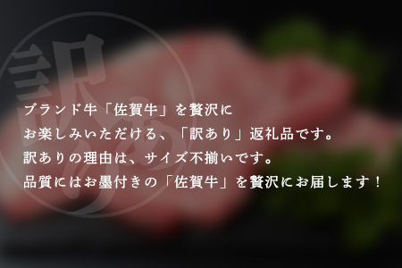 【訳あり】佐賀牛 ロースステーキ 合計500g D-213 [佐賀県 鹿島市 ロースステーキ ロース ステーキ 精肉 訳あり おすすめ 人気 肉 お肉 にく 佐賀牛 和牛 国産 国産和牛 牛 うし 牛肉 バーベキュー BBQ 送料無料]