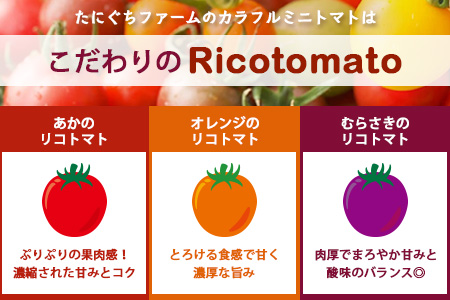 【3回定期便】【先行予約】 カラフルミニトマト 【少量パック】 120gx3p　たにぐちファーム カラフルミニトマト 360g とりこになるトマト 野菜 とまと トマト リコピン 佐賀産 佐賀県 鹿島市　D-241 カラフルミニトマト 【3回定期便】