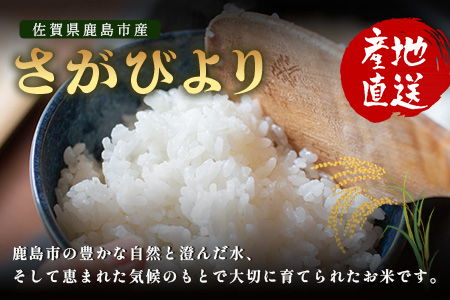 【鹿島市産】＼生産者直送／ さがびより 白米10kg　さがびより 佐賀県産さがびより 佐賀県鹿島市 お米 米 精米 玄米 ふるさと納税 お米 ご家庭用米 主食ギフト 美味しいお米 お取り寄せ 贈答用米 食卓応援　D-250 白米10kg
